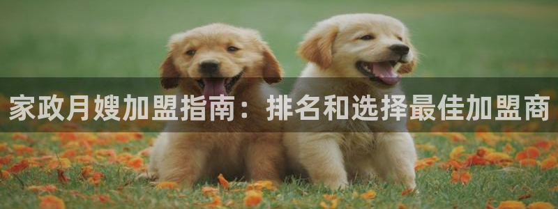 杏悦平台招商怎么样