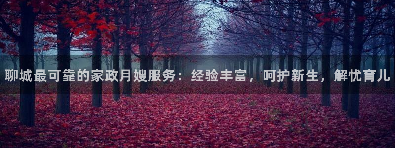 杏悦总代理