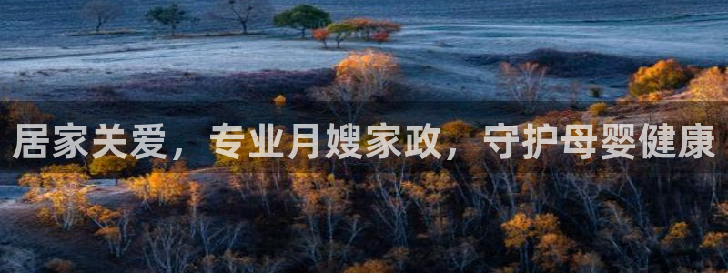 杏悦平台注册流程