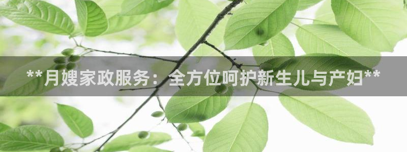 杏悦平台地址