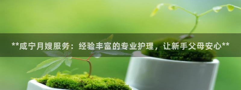 杏悦平台招商电话号码