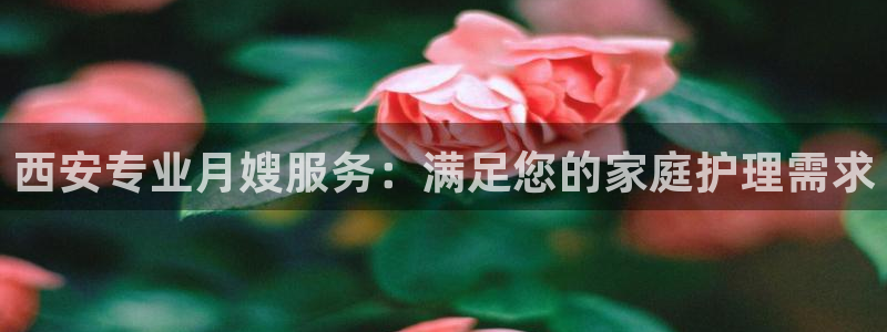 杏悦平台地址