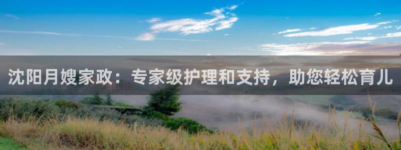 杏悦官方平台
