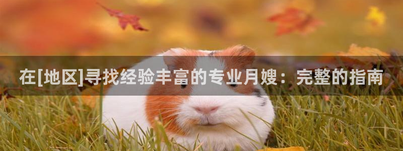 杏悦平台代理注册流程