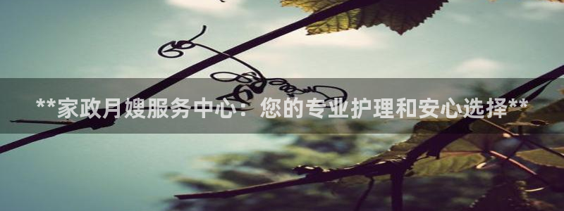 杏悦官网登录入口网址