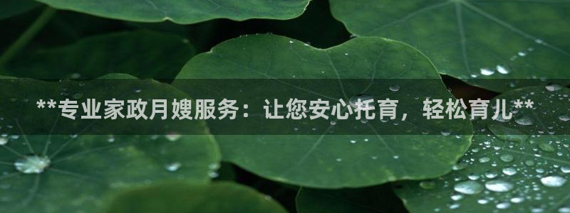 杏悦平台代理怎么赚钱