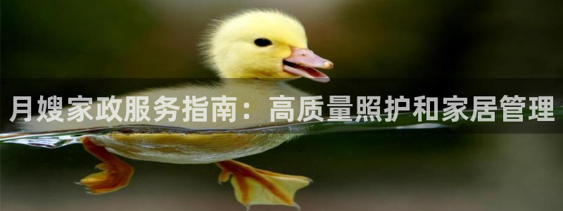 杏悦平台代理怎么样啊