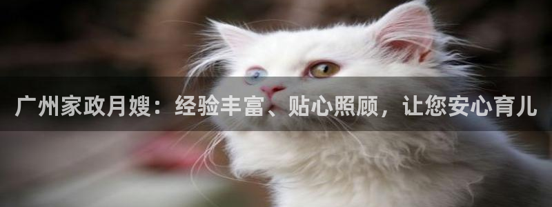 杏悦主管