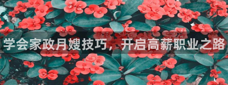 杏悦官网