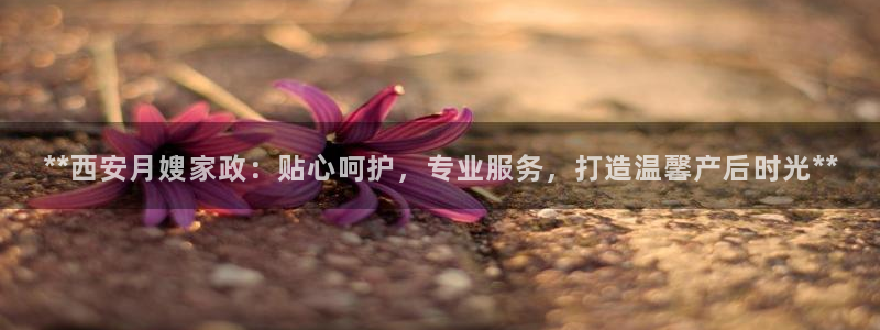 杏悦平台