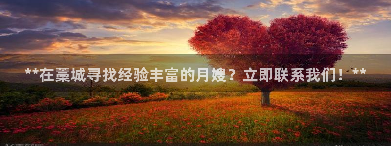 杏悦总代理