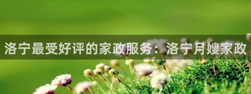 杏悦主管