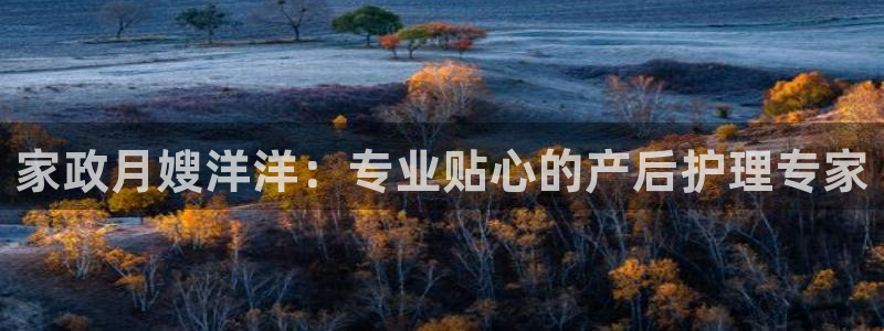 杏悦官网登录