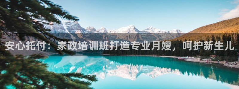 杏悦平台官网注册