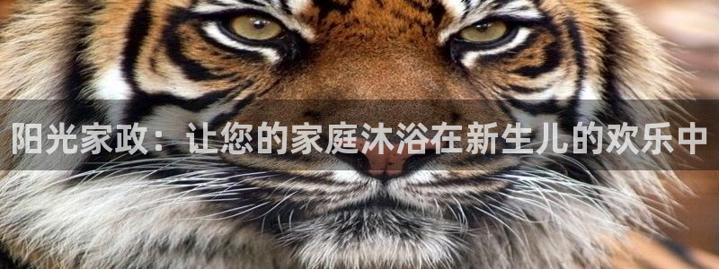 杏悦官网注册信息在哪里