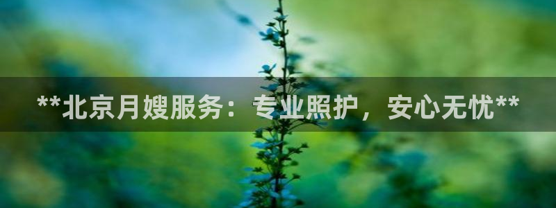 杏悦平台代理怎么样可靠吗
