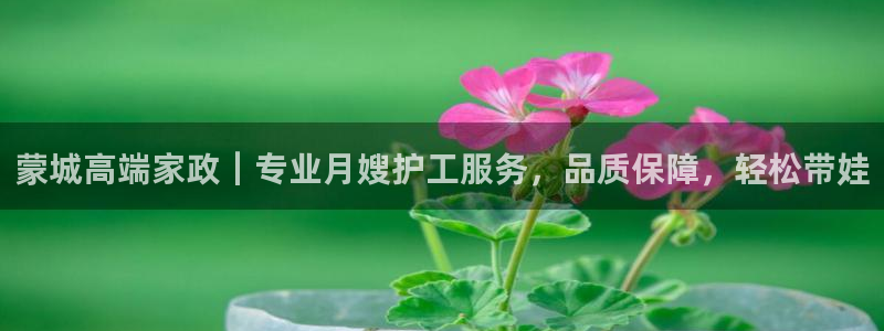 杏悦1招商地址