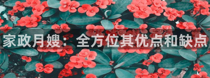 杏悦平台登录地址在哪里
