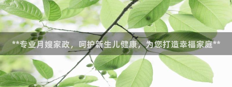 杏悦平台注册