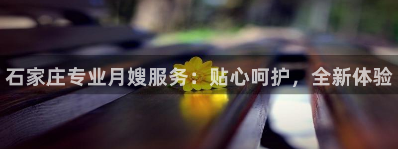 杏悦平台注册网址