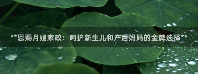 杏悦招商地址