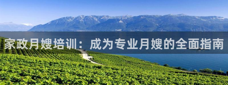 杏悦平台登录网址是什么
