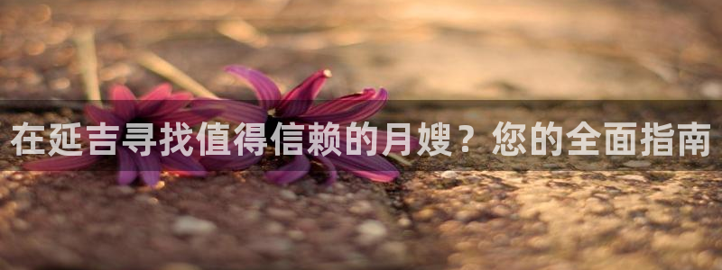 杏悦平台登录网址查询