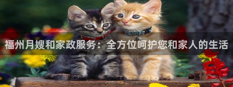 杏悦平台