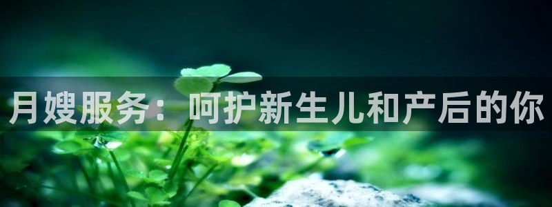 杏悦平台官网注册账号