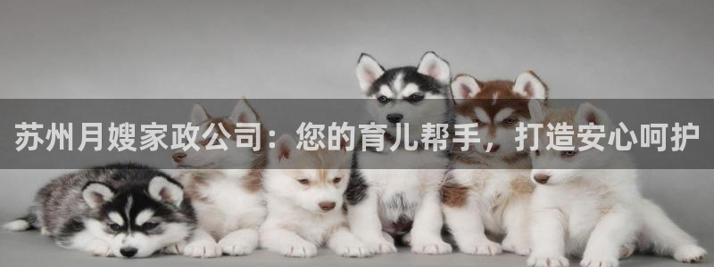 杏悦地址