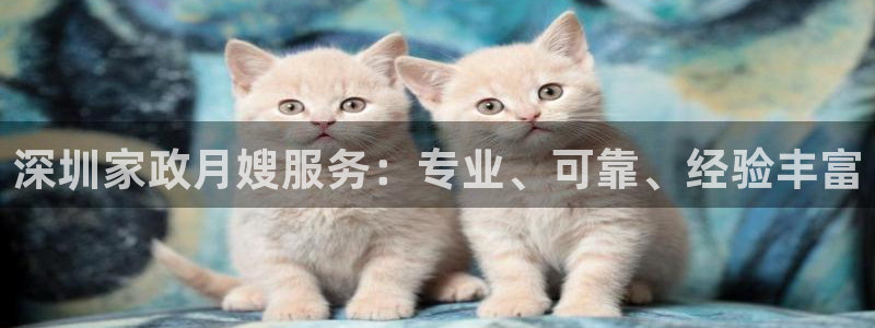 杏悦平台招商电话号码
