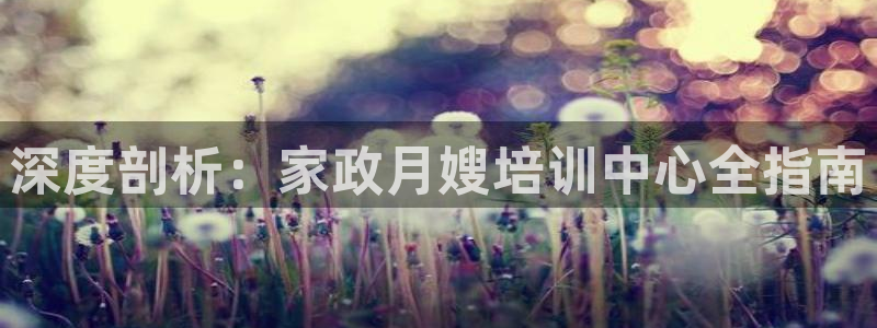 杏悦平台代理怎么赚钱快