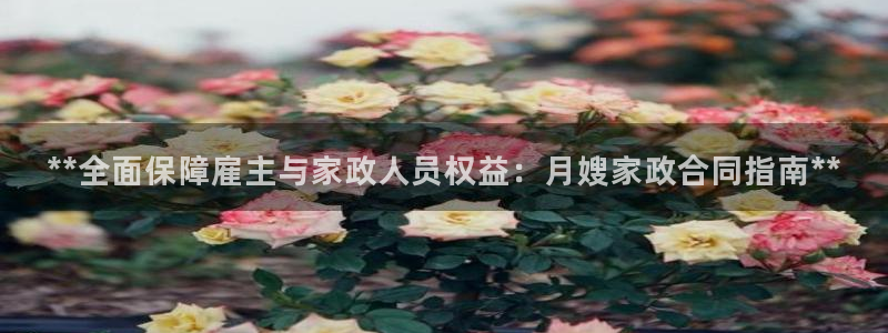 杏悦是什么