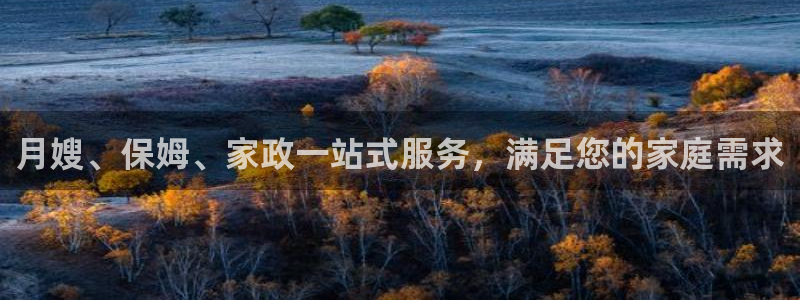 杏悦平台登录网址是什么