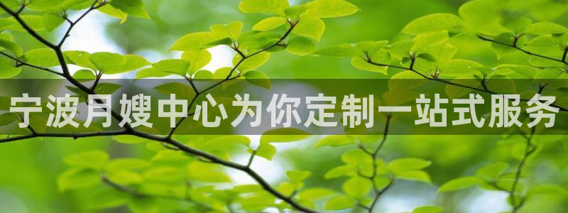 杏悦官网注册信息查询