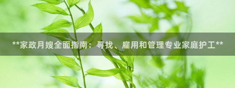 杏悦平台如何