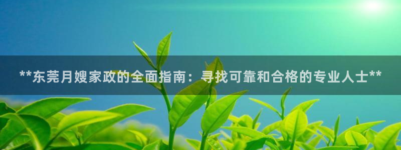 杏悦平台代理多少钱