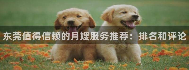 杏悦平台公司介绍
