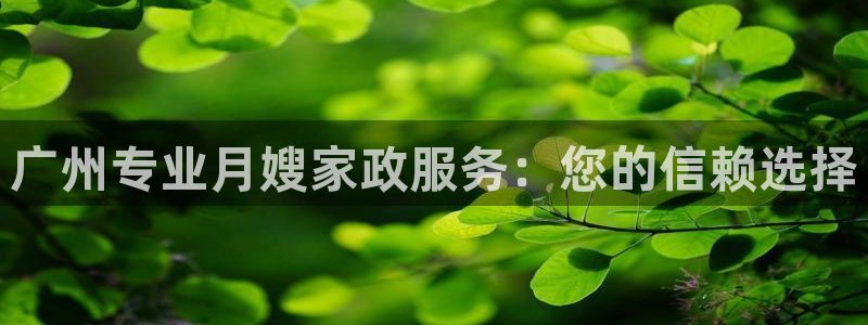 杏悦娱乐注册平台有哪些