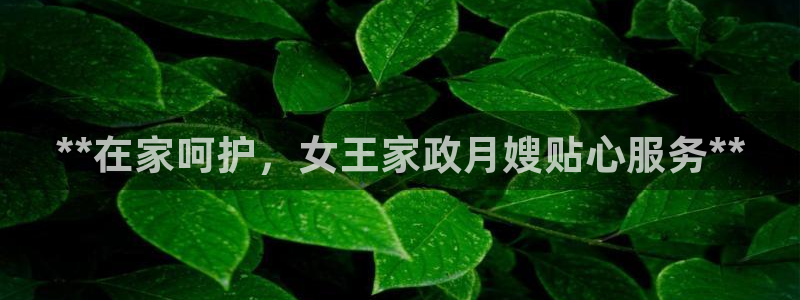 杏悦平台招商