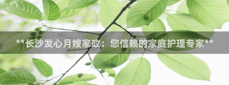 杏悦官网登录入口网址是什么