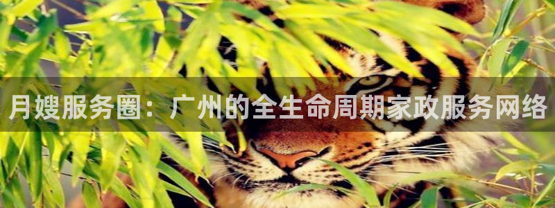 杏悦平台代理怎么样啊