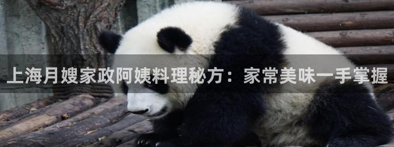 杏悦 -首选推荐平台