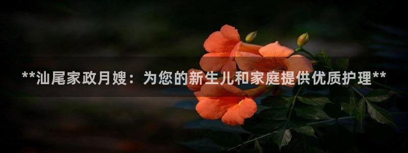 杏悦娱乐平台靠谱吗