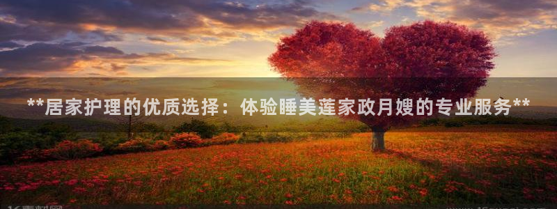 杏悦平台开户地址