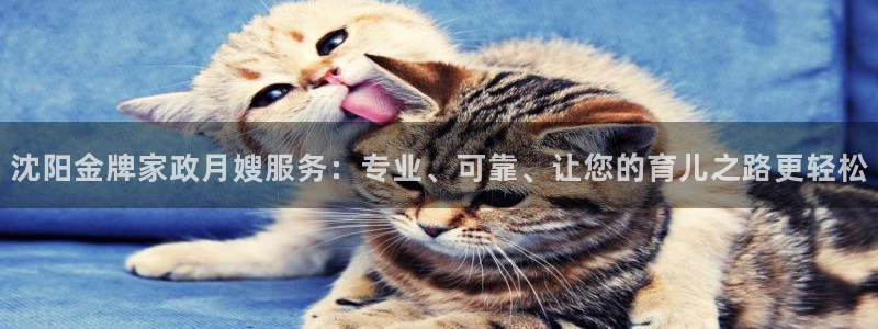 杏悦平台可靠吗是真的吗吗