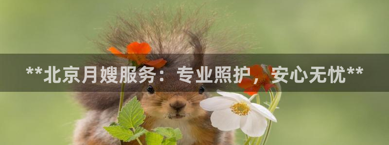 杏悦平台注册地址在哪里