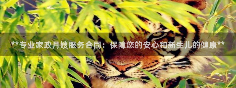 杏悦平台代理怎么做