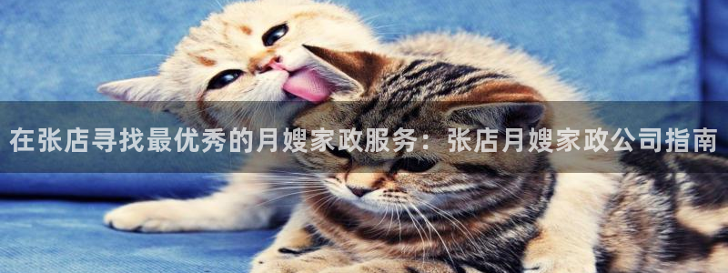 杏悦平台登陆