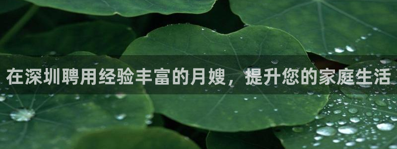 杏悦地址